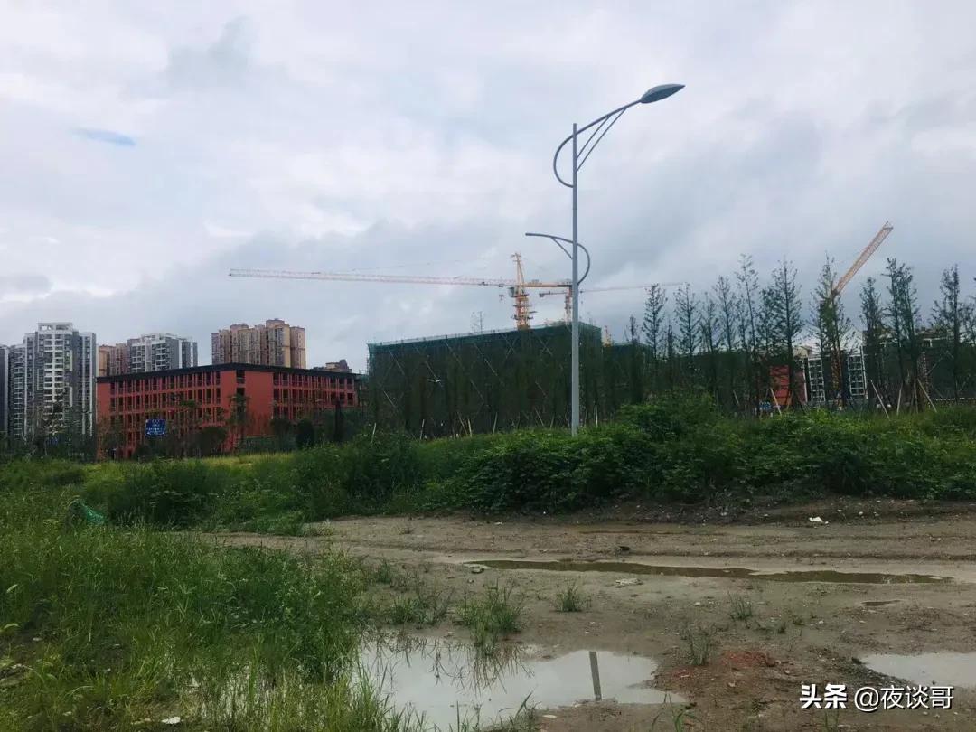 新都大丰一中北星中学最新消息,成都大丰北星中学怎么样