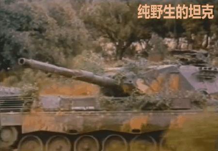 德国主战坦克的故事,一战德国坦克进化史