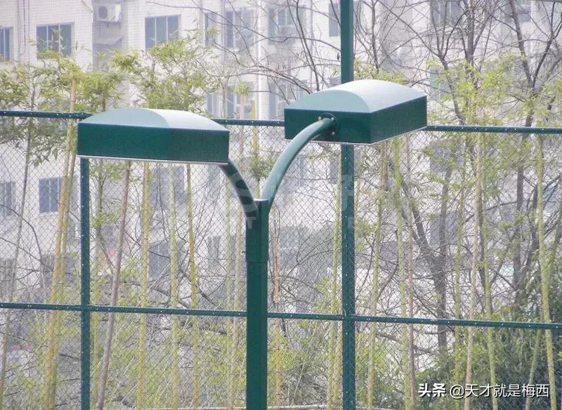 夜空中最亮的星请照亮我前行英文,夜空中最亮的星照亮前方的路