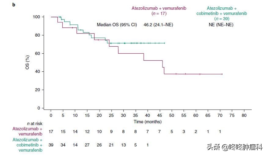 医生敢想，患者敢用：PD-1+双靶向，三杀癌细胞，结果出乎意外
