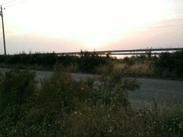 汽水钓海鱼视频,深水岸钓海鱼