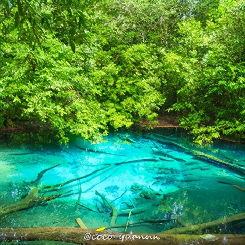 甲米如何玩,甲米主要玩什么