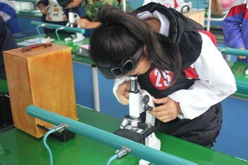 香港美女生物学家：破译人体大脑密码，让老年痴呆症治疗成为可能