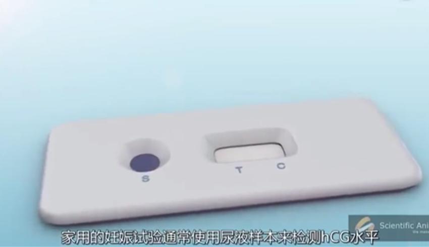 早孕试纸原理和孕酮有关系吗,早孕试纸的原理是什么