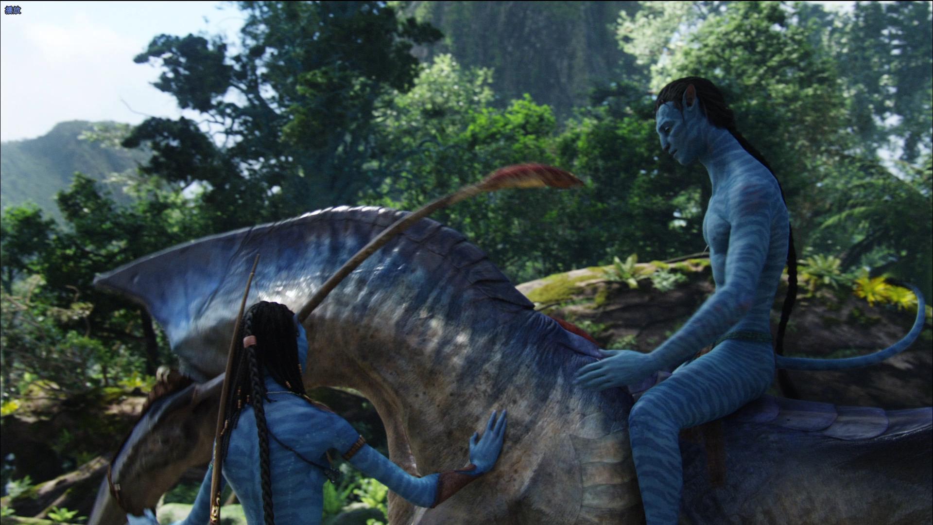 从未被超越完整版,从未被超越