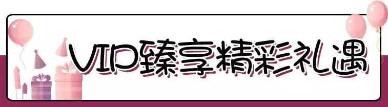 火力全开盛大登场,火力全开20周年