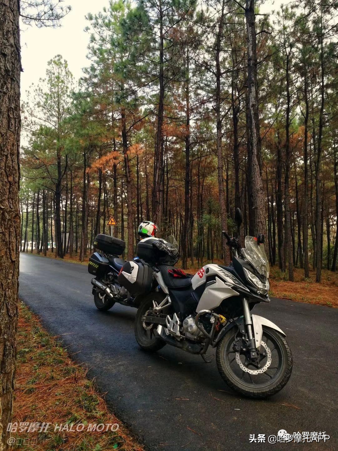 2020款战鹰190x国四版有几个版,本田战鹰190x和猛鸷图片对比