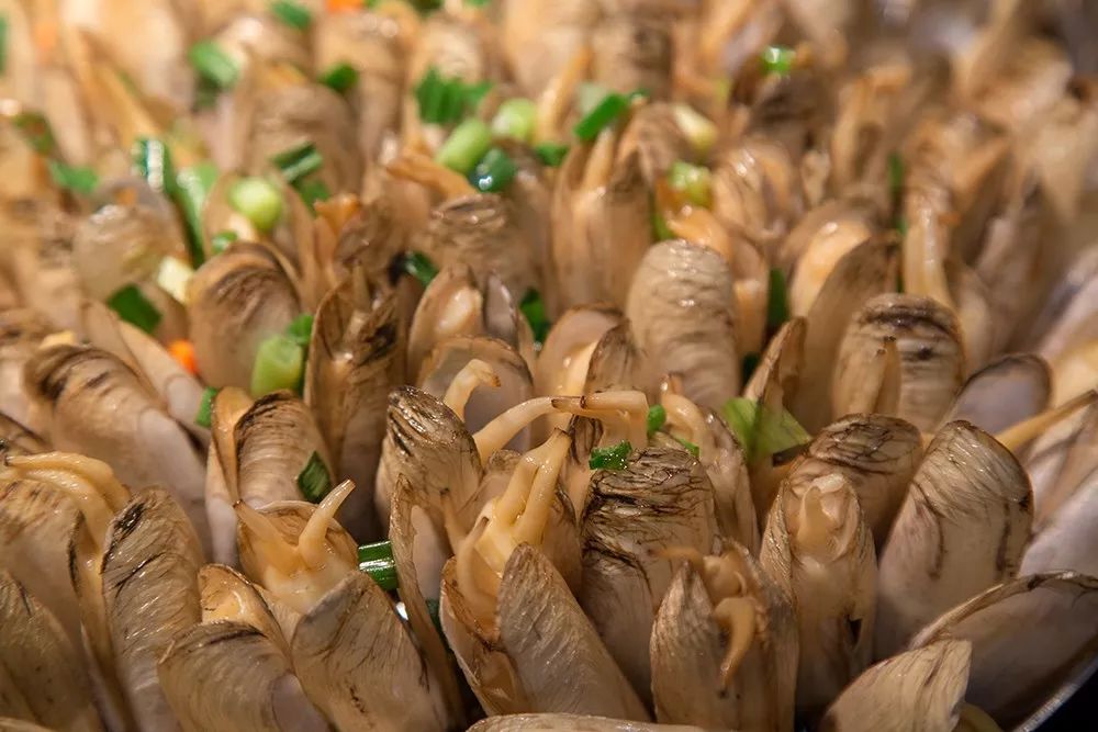 记忆中的宁德美食,福建宁德吃海鲜去哪里