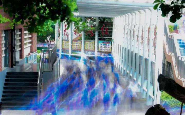 “在红岭中学就读是一种怎样的体验?”