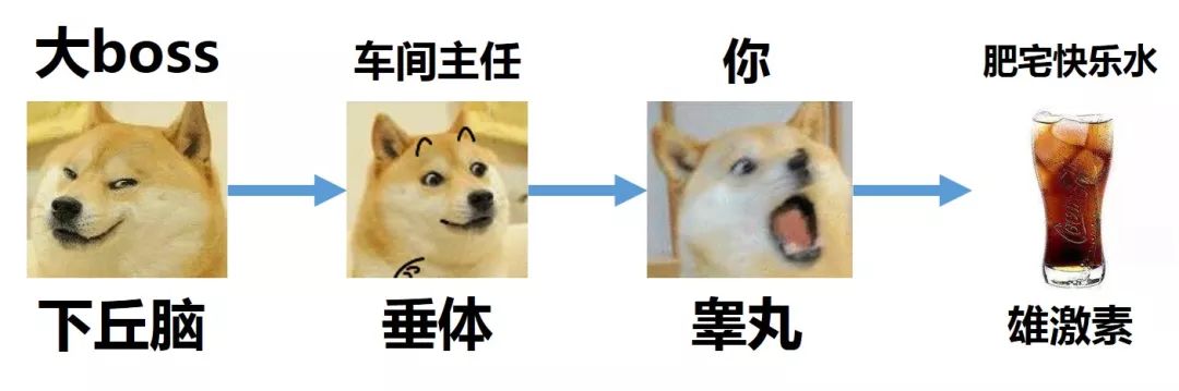 35岁经常运动容易生孩子吗,锻炼身体再怀孕会不会好一些