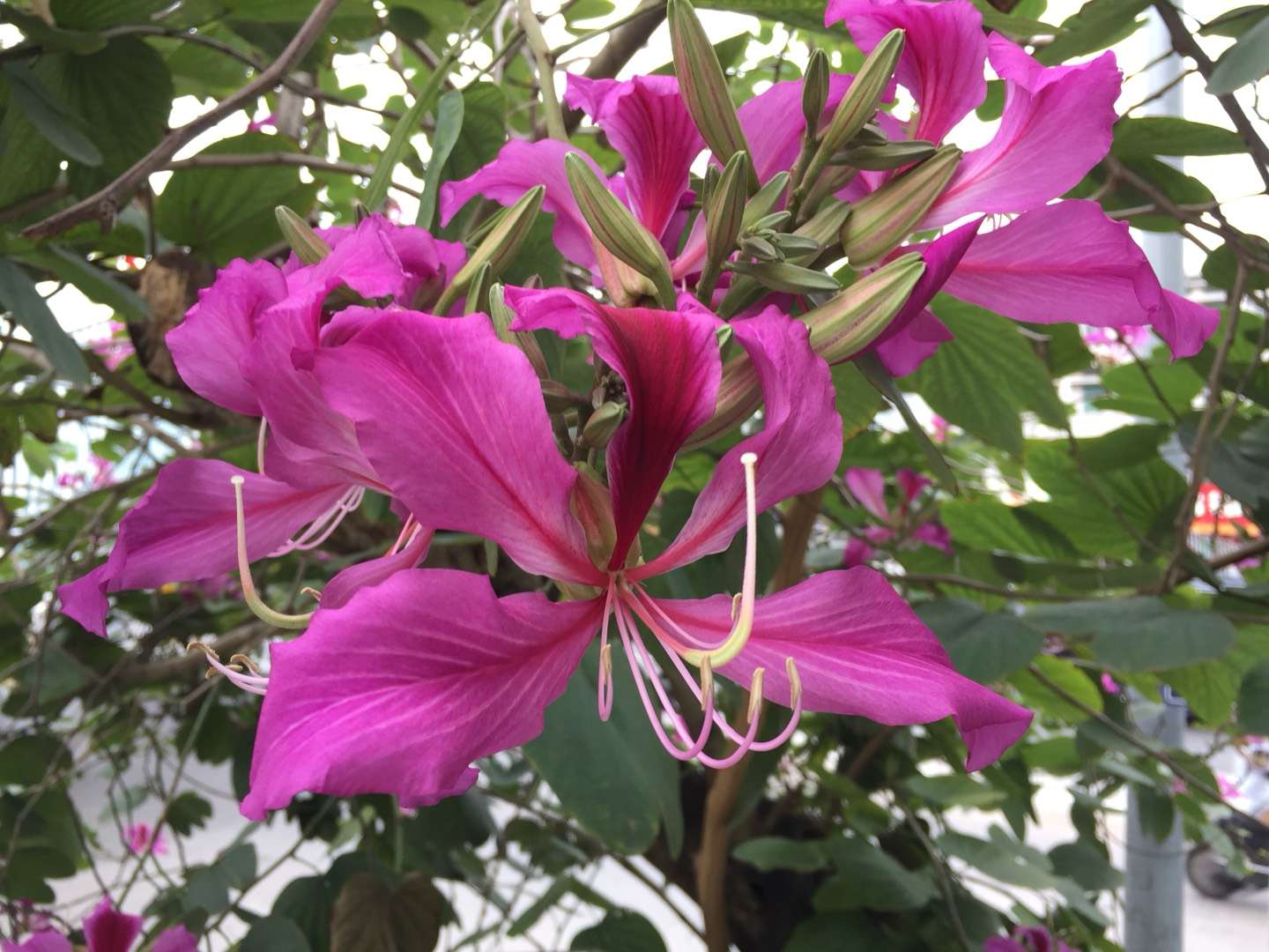 仁德汤汤沐五洲——怀念国医大师喻喜春先生