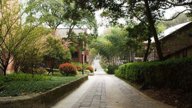 状元讲堂|教育即唤醒，浙大学长分享培养学习兴趣的实用技巧