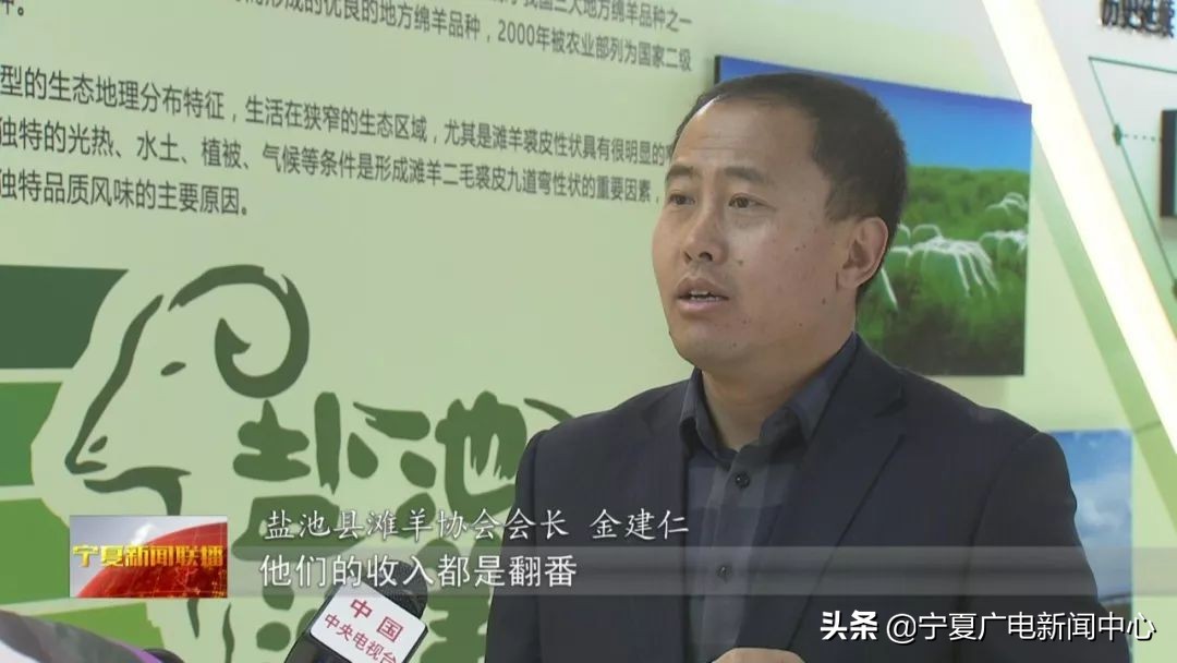 盐池滩羊市场行情,盐池滩羊价格最新行情