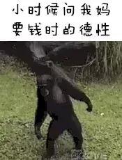 债务人逃跑了怎么办可以报案吗,债务人跑路就没有办法追回债务吗