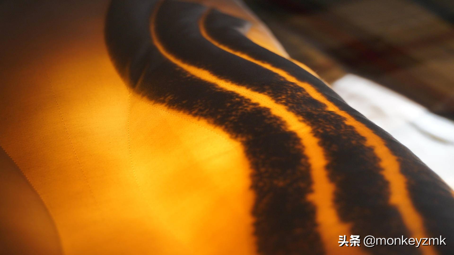 羽绒枕真实推荐,乳胶枕价格为什么差别很大