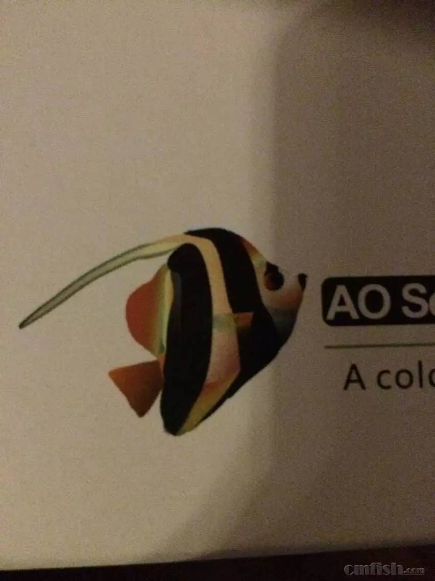 KELO钜彩照明LED水族灯试用活动鱼友评测详情(二)