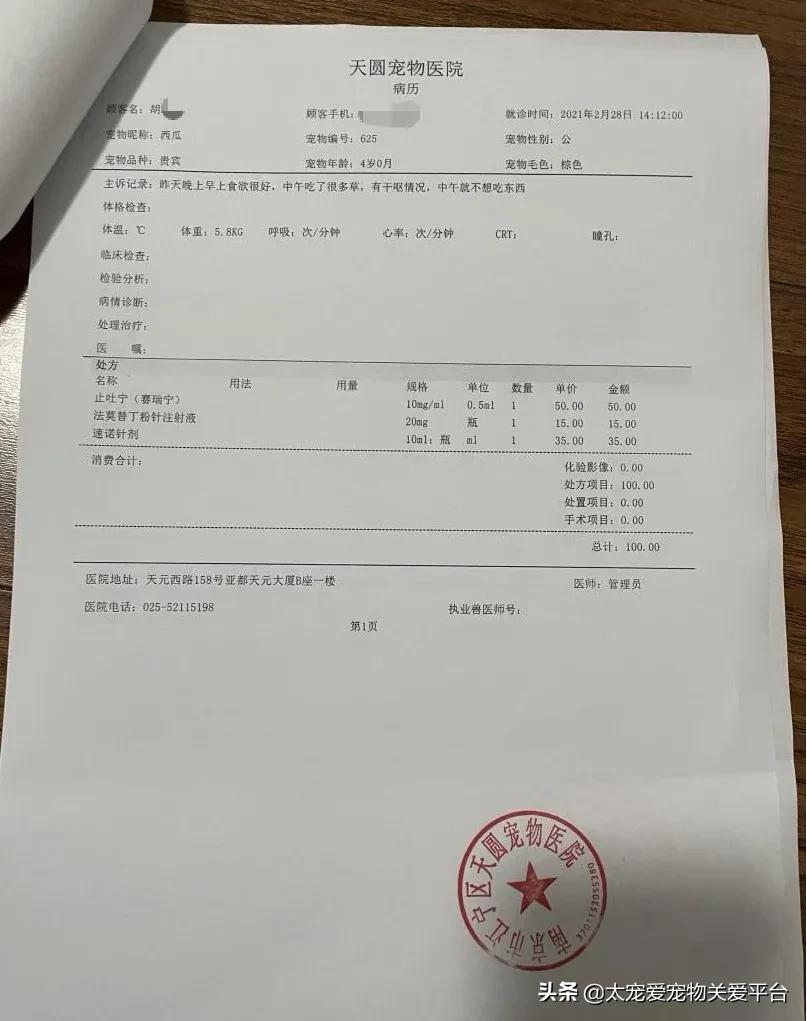 十二指肠溃疡丨太宠爱理赔案例南京天圆宠物医院