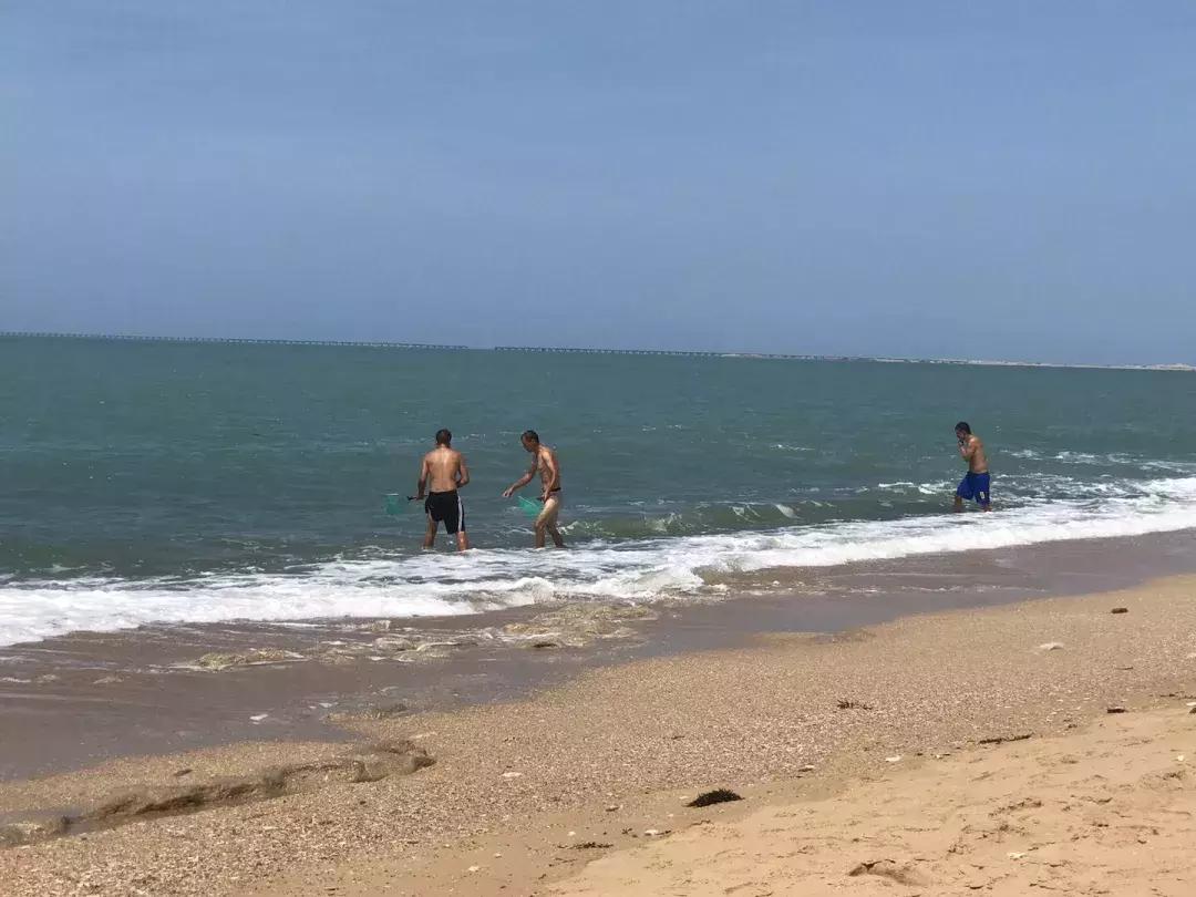 红塘湾马岭,三亚市天涯区红塘湾地图