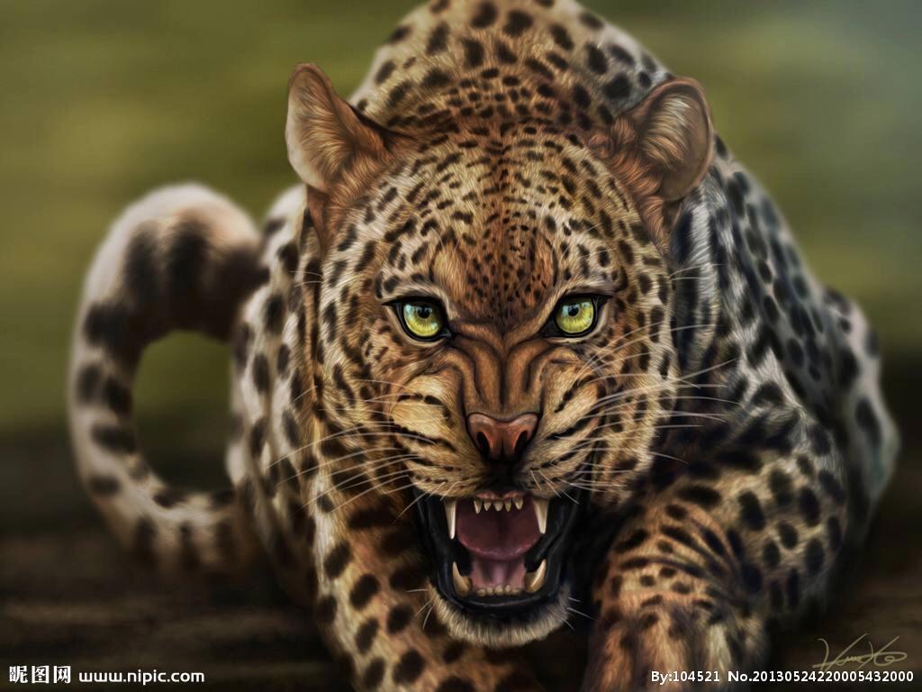 动物生病了该怎么办,动物生病了会怎么治病