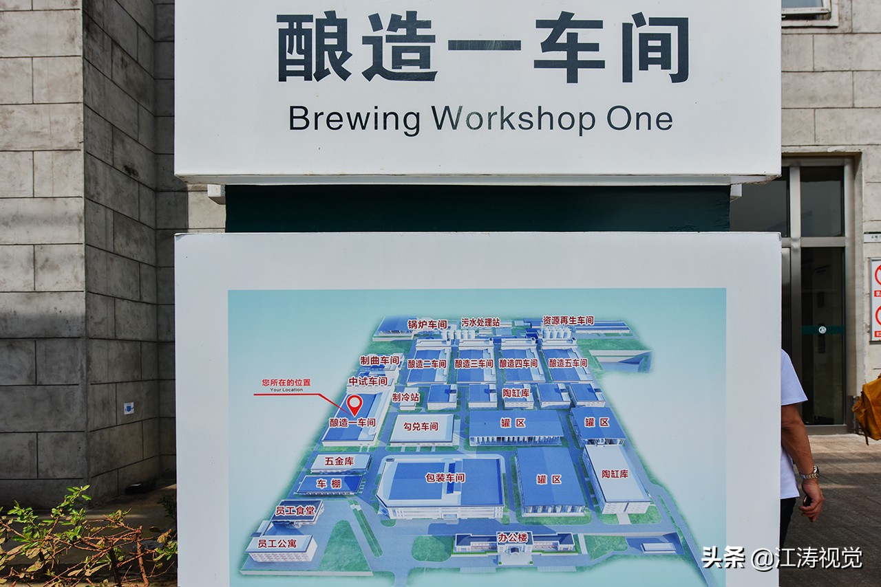 走进劲牌一场触及酒魂的健康文化,劲牌酒文化