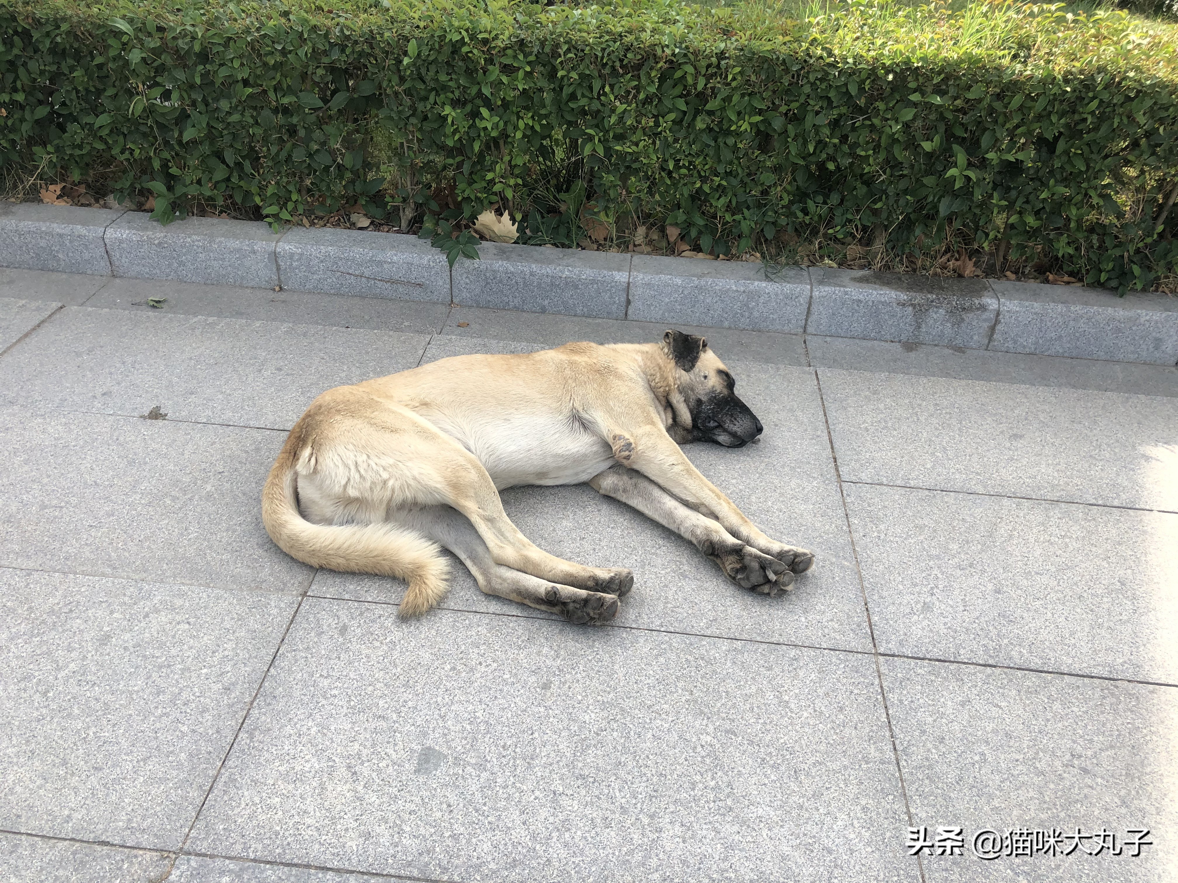 浪漫的土耳其热气球飞行之旅,热气球不仅仅在浪漫的土耳其