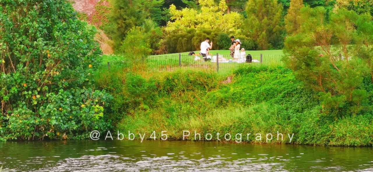 厦门旅游玩的地方排名榜前十位,厦门五一旅行景点排名前十大