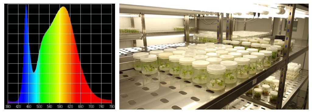 植物生长箱的应用,植物生长箱选择