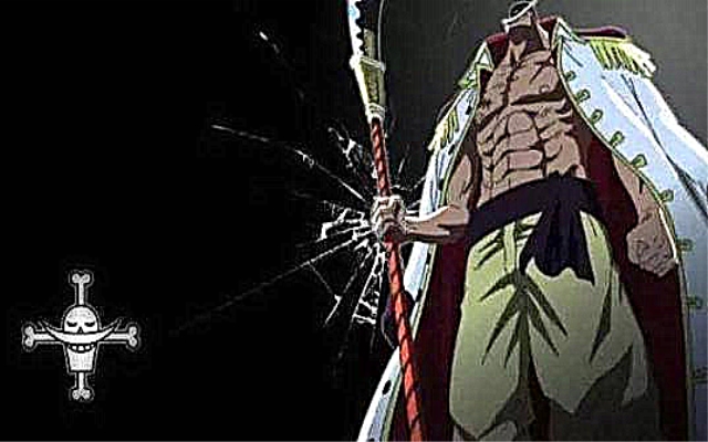 海贼王燃烧意志火拳艾斯,海贼王火焰艾斯