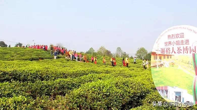 谢裕大被收购,谢裕大最新消息
