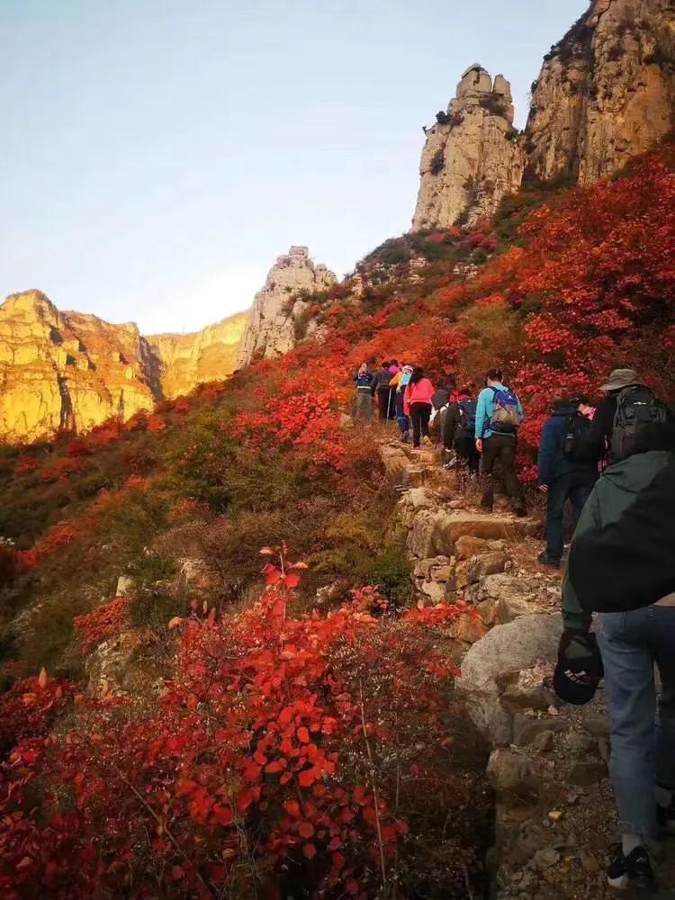 电商风云刘强东,电商风云陈年