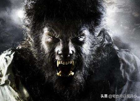 兽人加鲁鲁vs吸血魔兽,吸血魔兽加鲁鲁