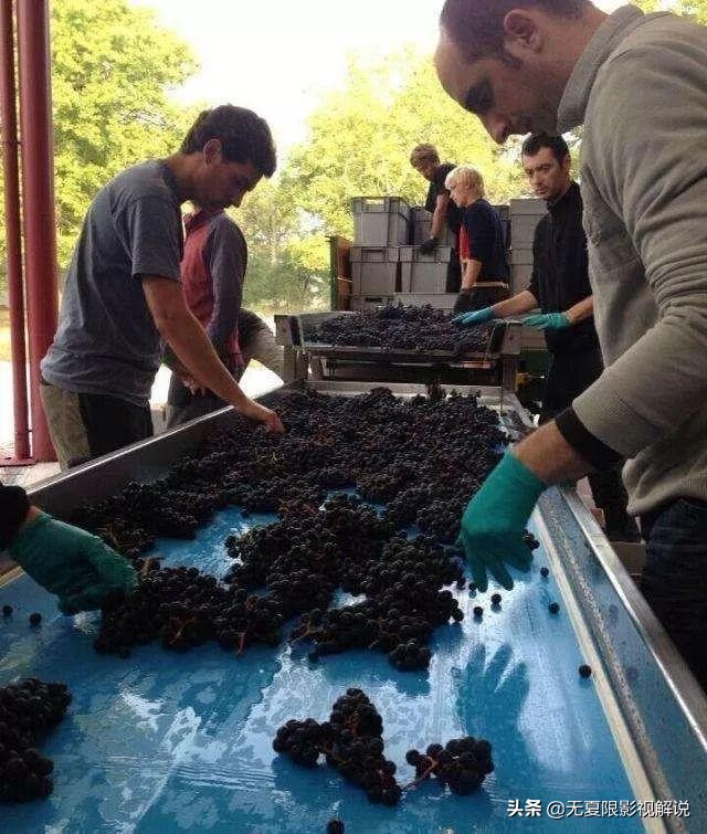 红酒喝前为什么要醒一下,红酒醒不醒酒有什么区别