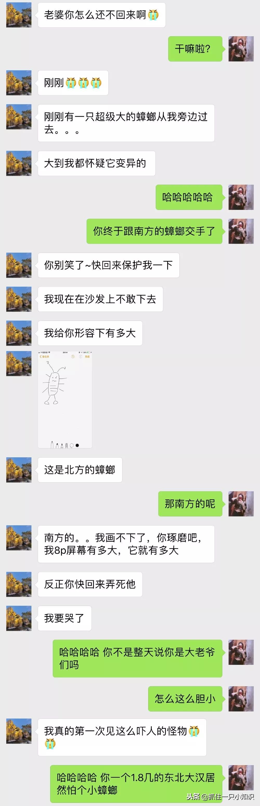 广东女孩子真可爱,广东女孩说话超可爱