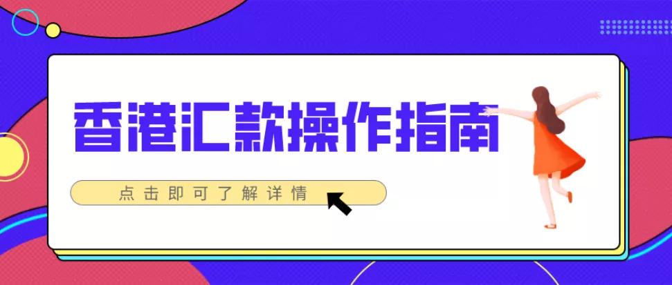 熊猫速汇欧洲汇款,极简汇款和熊猫速汇