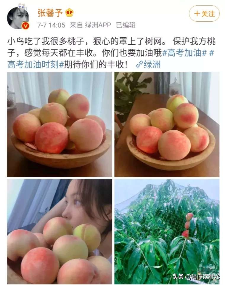 张馨予热门话题,张馨予从话题女王到帅气