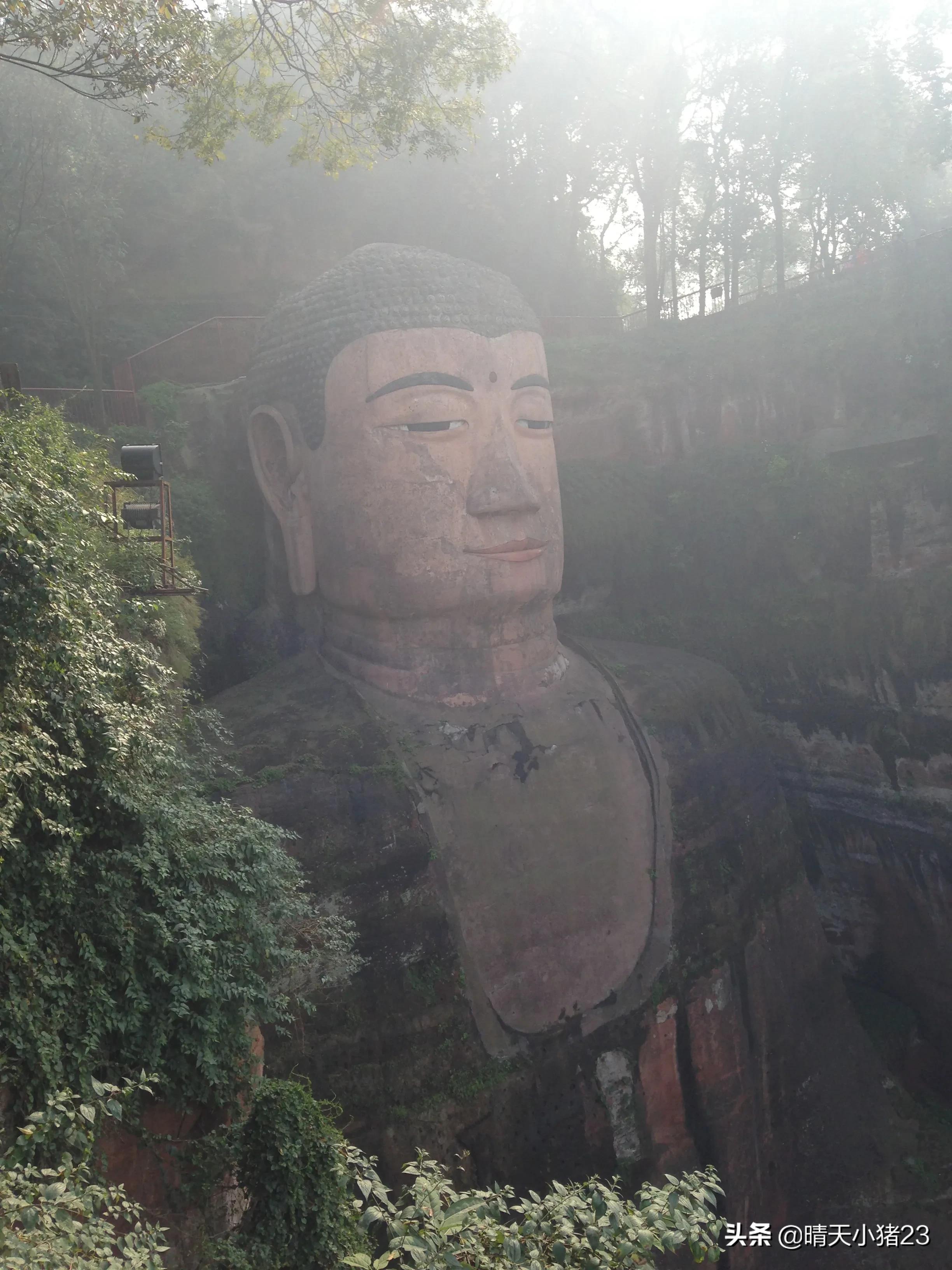 海棠香国乐山宣传视频,海棠香国乐山在哪里