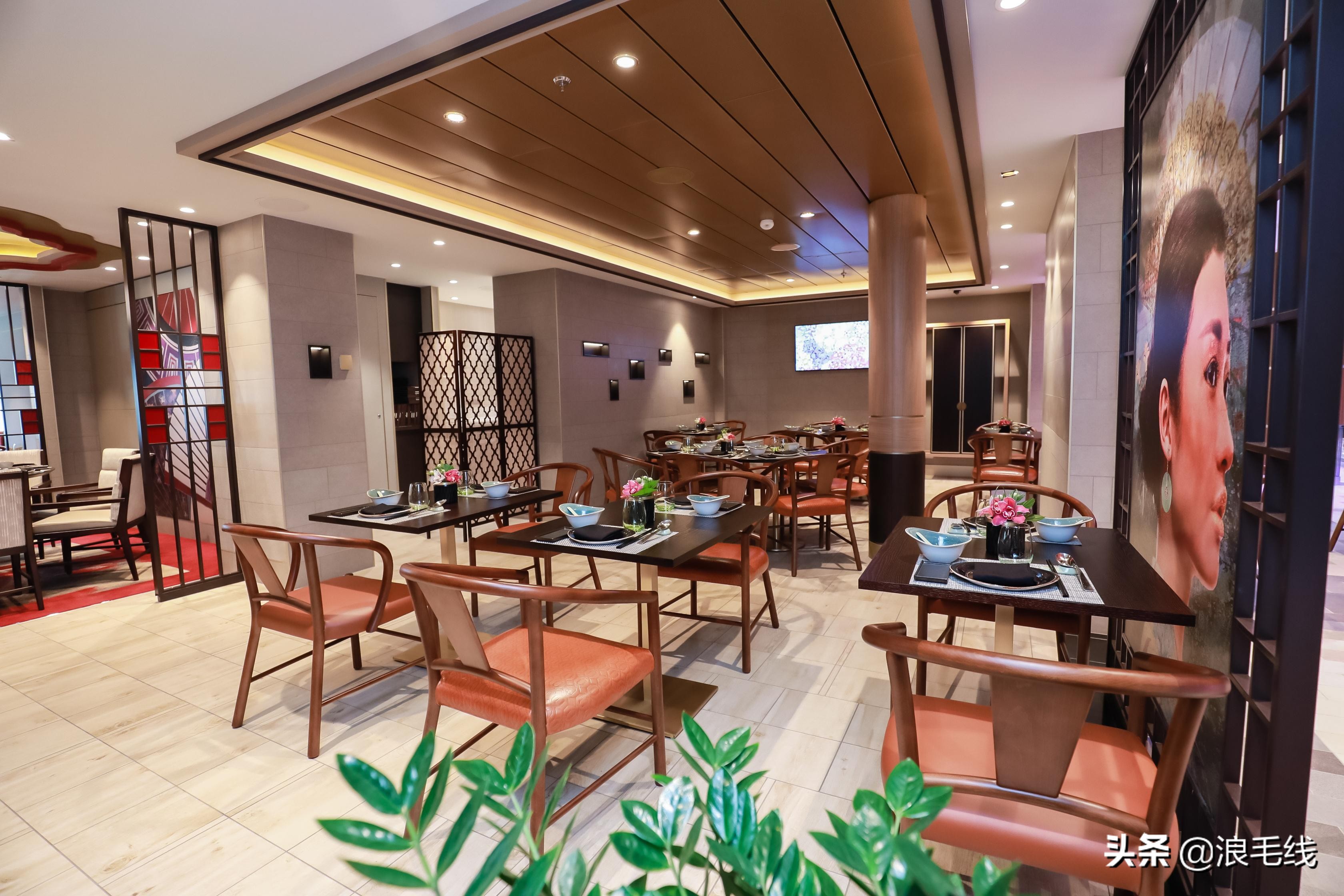 8天7夜,带着老头子游轮上岸行是种什么体验?