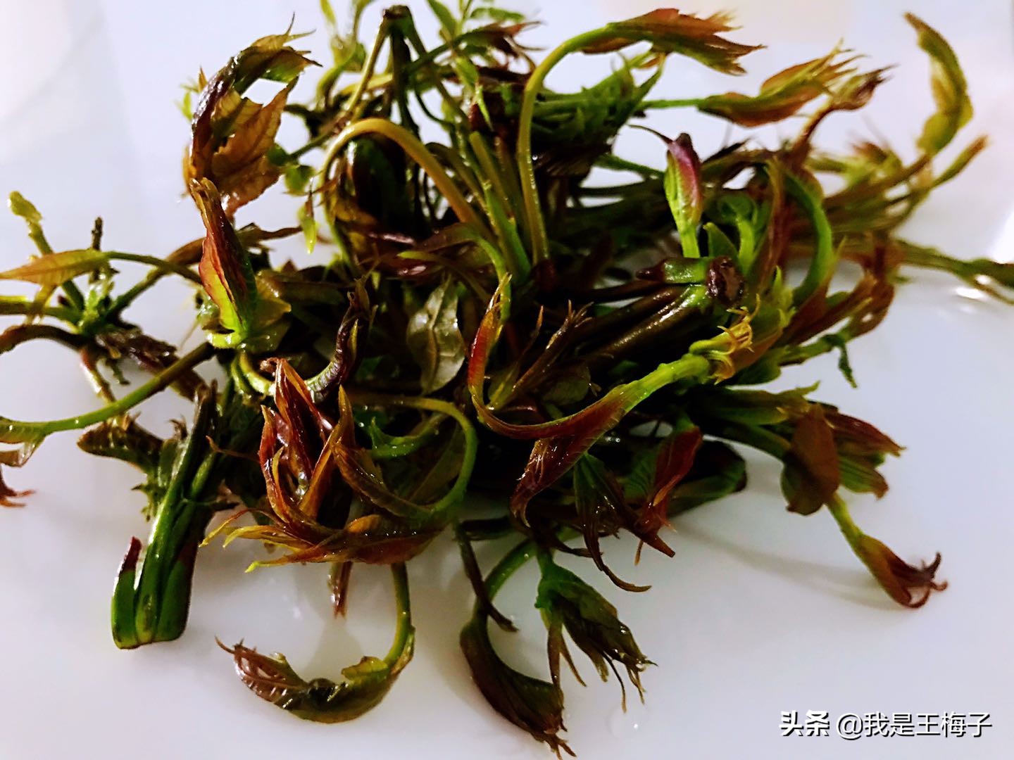 50元一斤的香椿怎么吃,香椿100多块一斤你愿意尝鲜吗