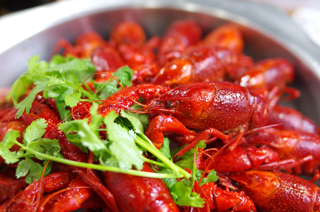 只卖三道菜的餐馆,只卖三道菜的苍蝇馆子