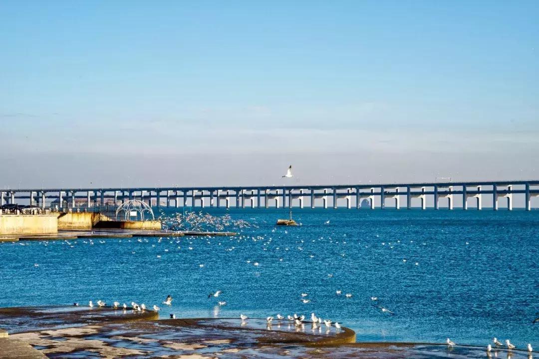 大连绝美海岛旅游攻略路线,七月去大连哪个海岛旅游好