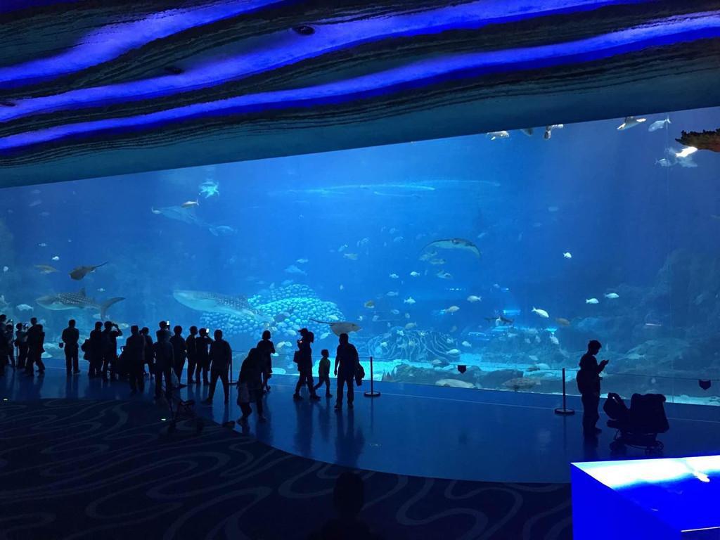 珠海天气,珠海玩几天比较合适