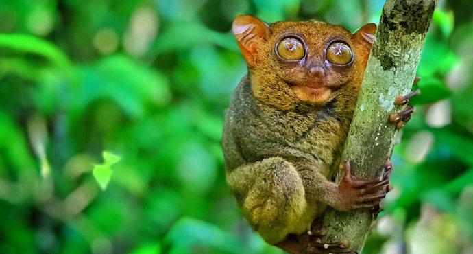 普通人不跟团去贵州玩要多少钱,去国外旅游不跟团可以吗