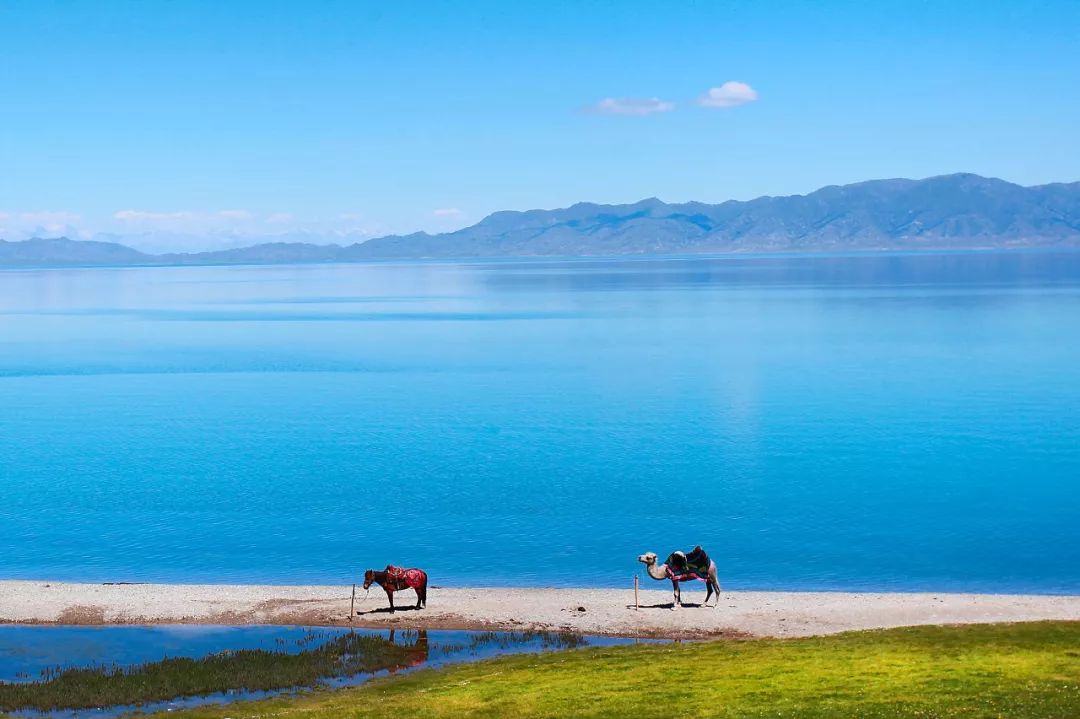 涓嶈兘鍘诲鍦扮殑鐞嗙敱,浜旂浜轰笉鑳藉幓鐤嗗唴鏃呮父