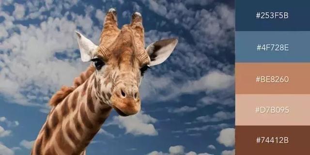 999张照片模板,999999999的创意图片