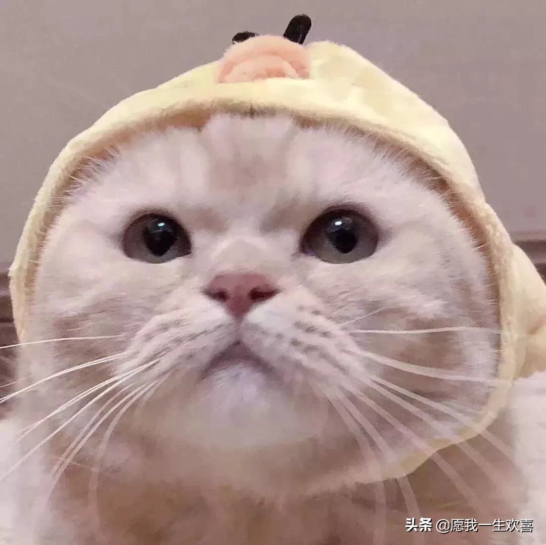 情侣头像是情侣最基本的吗,理想的情侣头像一对