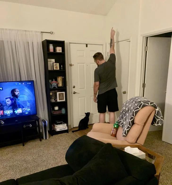 氛围感治愈温柔猫咪图片2张,带有人物与猫咪的温馨治愈图