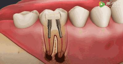 上海雅悦齿科,雅悦齿科医院简介