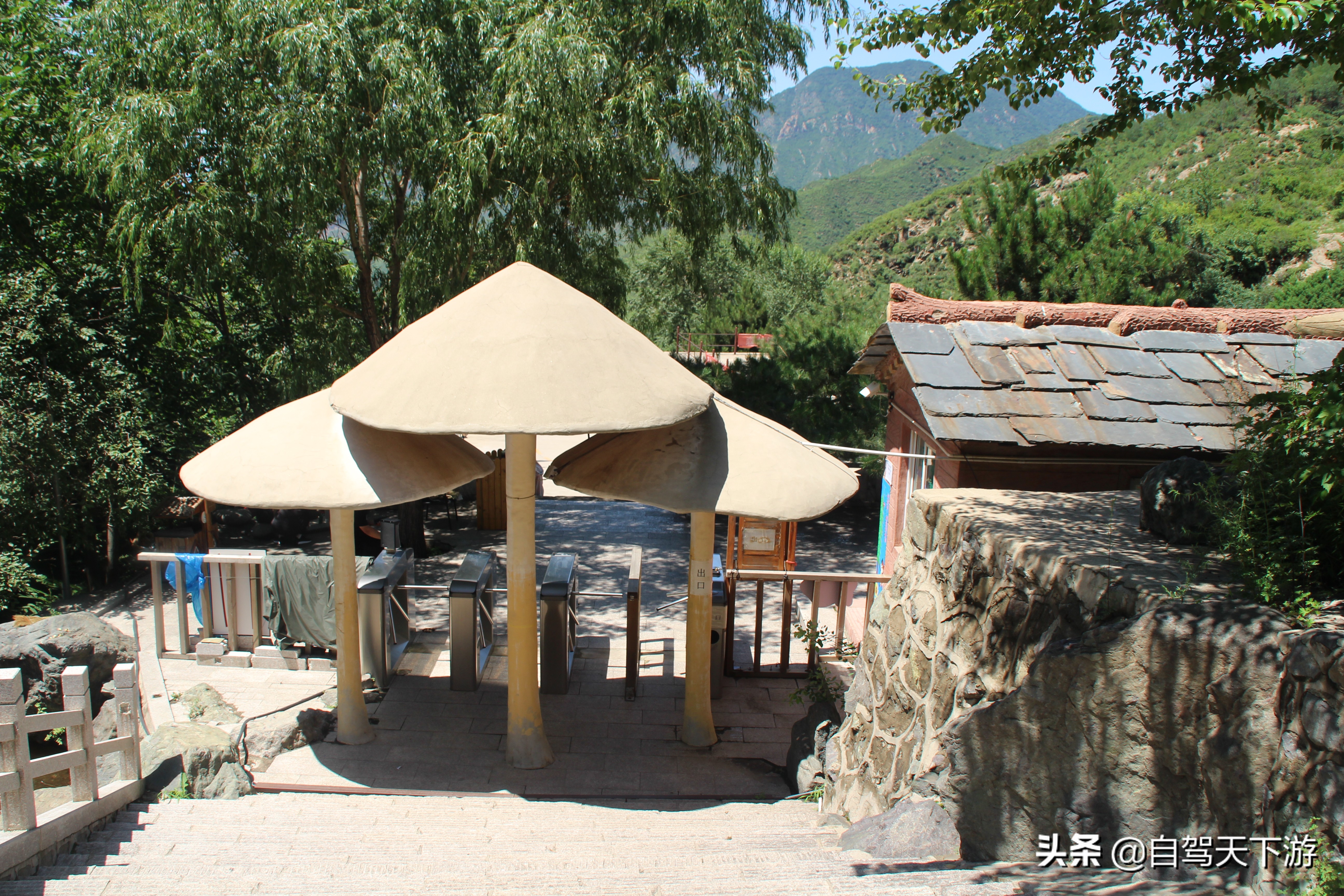 野三坡白草畔攻略,野三坡白草畔自驾游