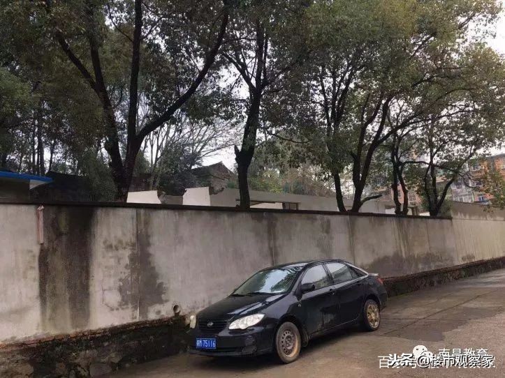 多所学校,经开区第一学校学区