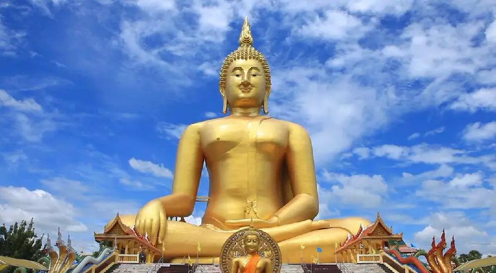 泰国荣耀之旅留下美好记忆丨“董家骨科”纪行